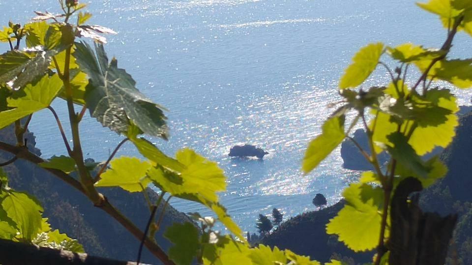 Casa Il Faro Villa Con Piscina 카스텔몰라 외부 사진